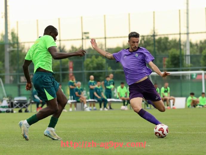 ag9游会-法甲顶级防守体系解析及成功战术案例